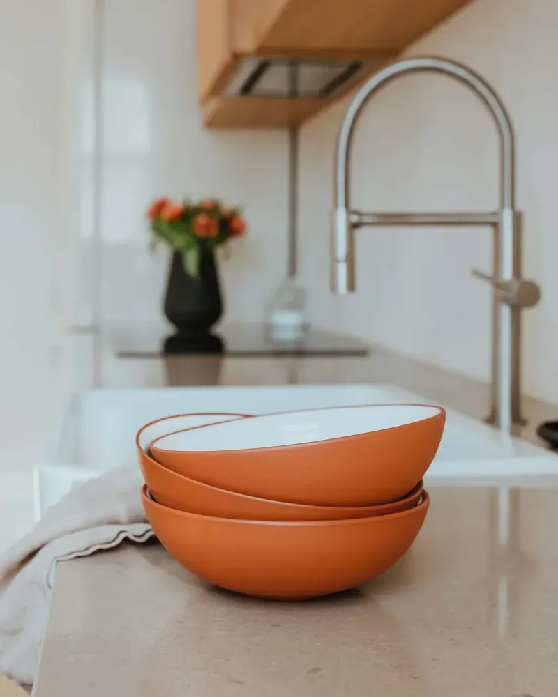Set 4 bowl terracotta Earth