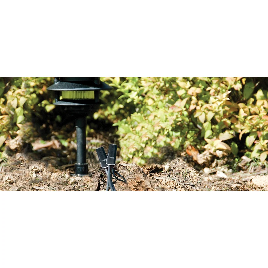 King Innovation - 61241 - Black/Gray, 100pc. Canister