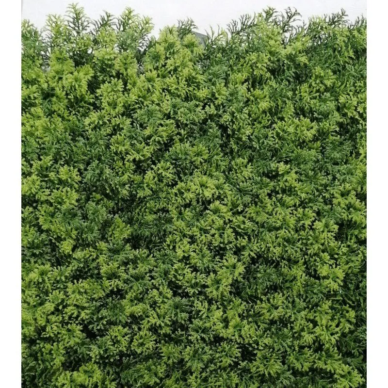 Siepe artificiale 3D 50x50 cm Lichene | Xone