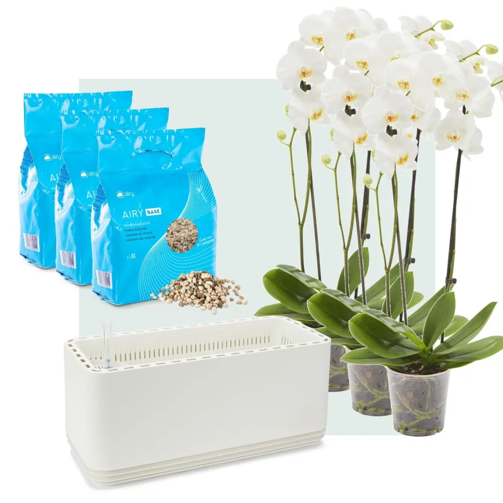 Sistema AIRY L Orquídeas Gris AIRY Green Solutions GmbH