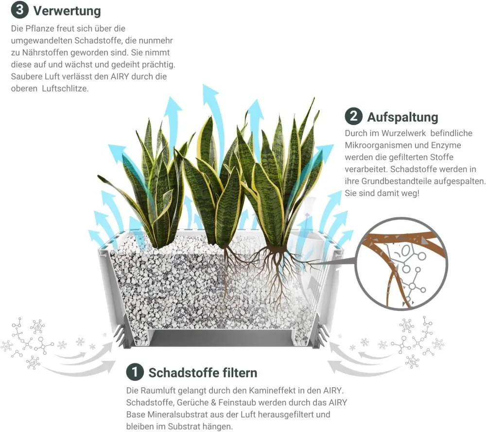 Sistema AIRY L Orquídeas Gris AIRY Green Solutions GmbH