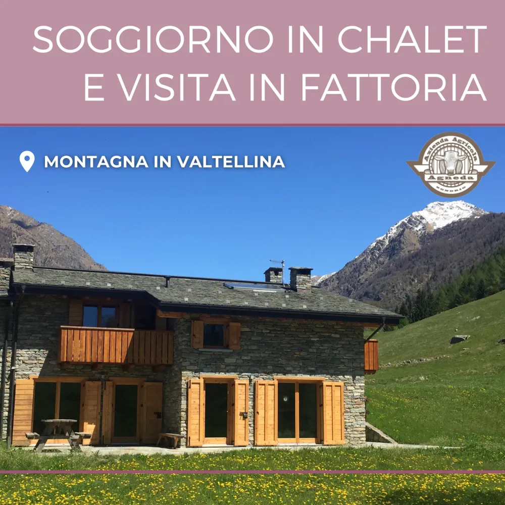 Soggiorno chalet privato e visita fattoria
