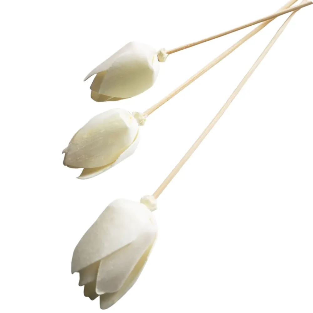 <tc>FIORE DEL TULIPANO CON RATTAN</tc> Eco Candle Project