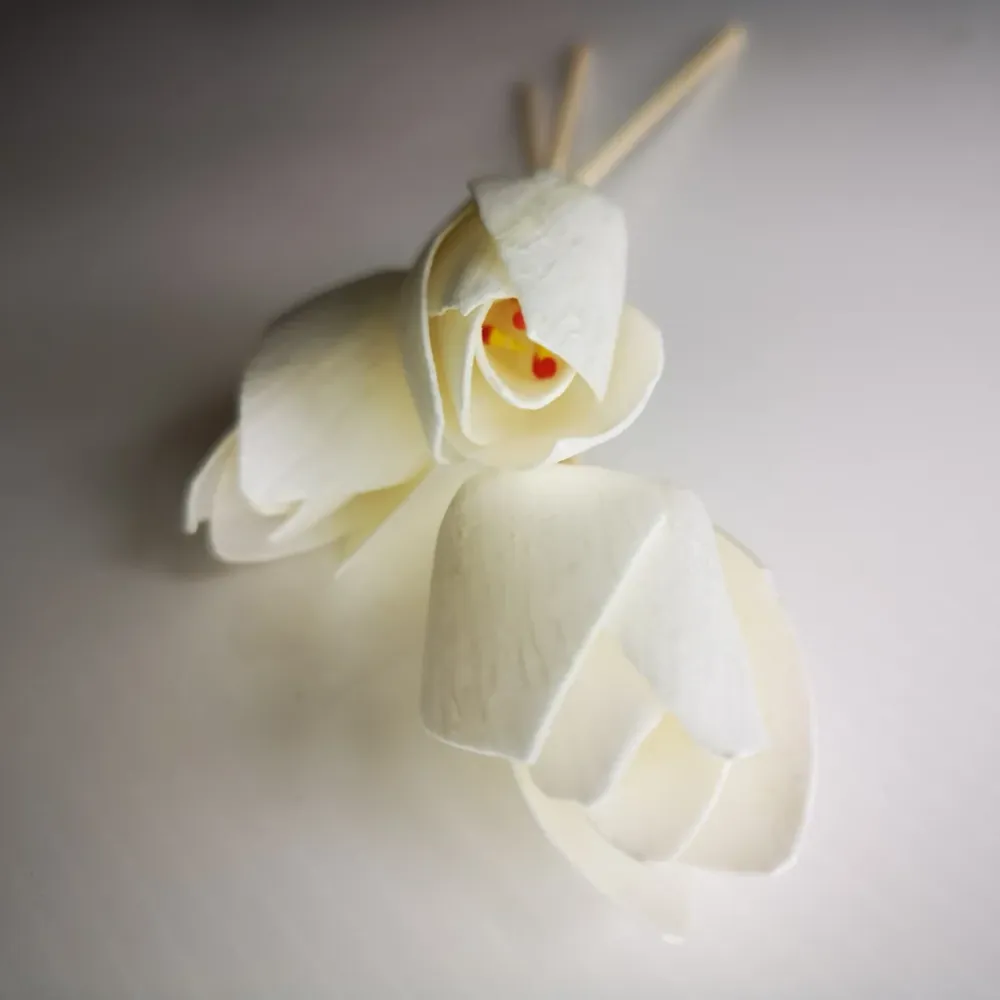 FIORE DEL TULIPANO CON RATTAN Eco Candle Project
