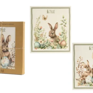 CONFEZIONE 6 SPUGNE CELLULOSA RABBIT PEPEN - NUVOLE DI STOFFA