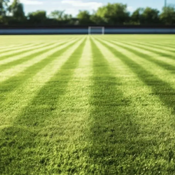 Substrato per erba sportiva