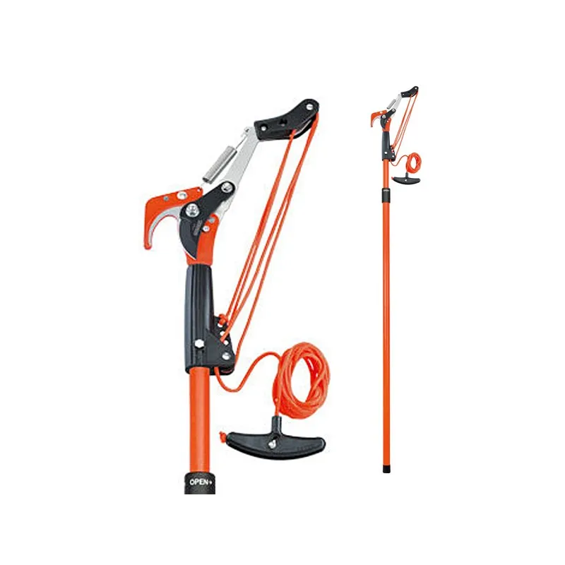 Professional da Giardino Stocker Svettatoio con Manico Telescopico 144 - 255cm