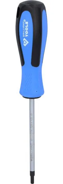 Cacciavite Brilliant Tools TORX T25 x 100 mm BT031014 - Taglio Preciso