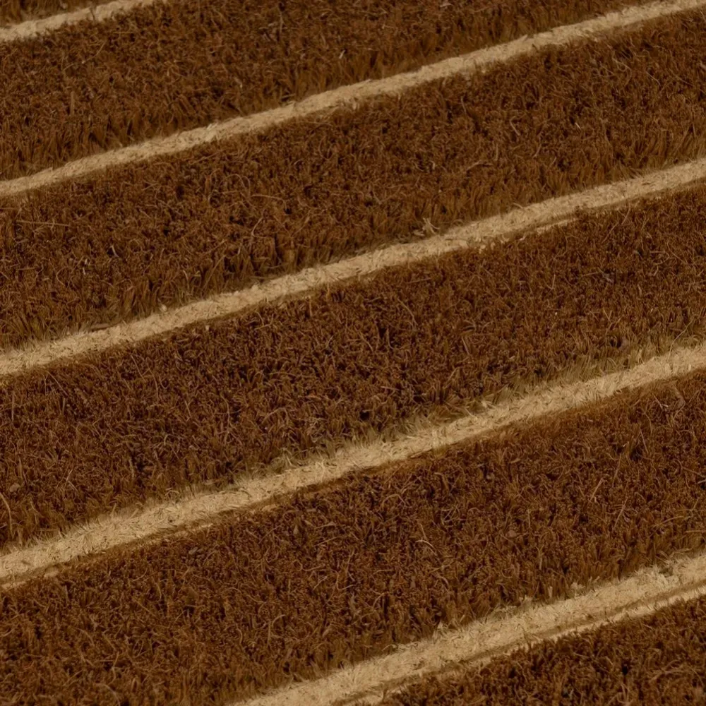 Tappeto Zerbino Rettangolare Home Fibra Di Cocco 60 x 40 cm Beige e Marrone