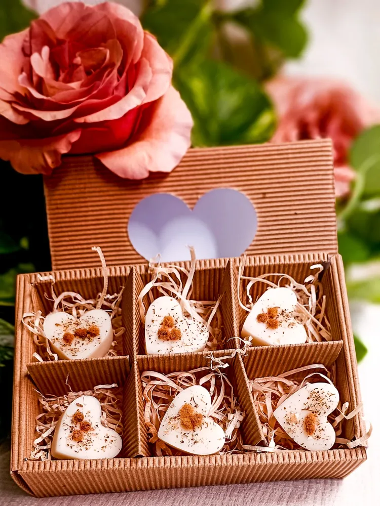 SBAGLIA - Box 6 Tart Cera di Soia Profumate forma di Cuore