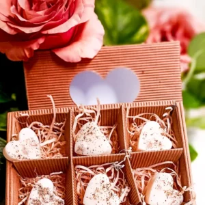 SII FELICE - Box 6 Tart Cera di Soia Profumate forma di Cuore