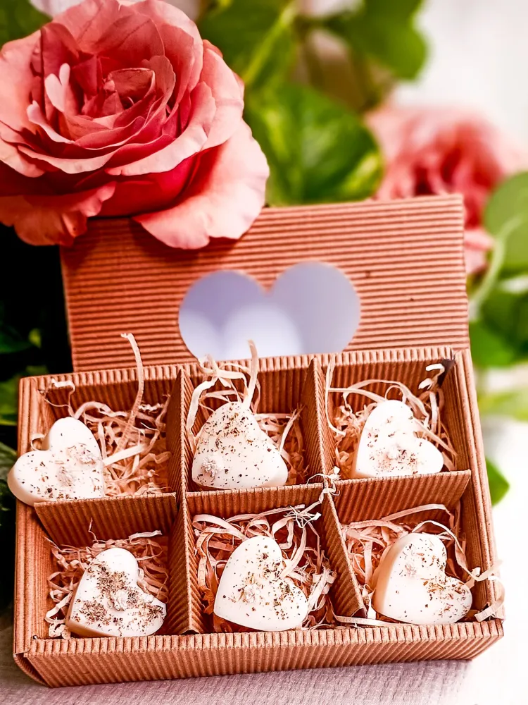 SII FELICE - Box 6 Tart Cera di Soia Profumate forma di Cuore