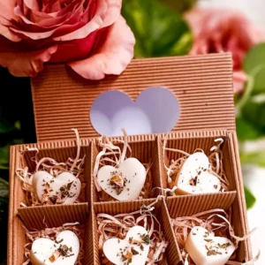 SOGNA - Box 6 Tart Cera di Soia Profumate forma di Cuore