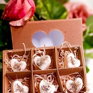 SORRIDI - Box 6 Tart Cera di Soia Profumate forma di Cuore