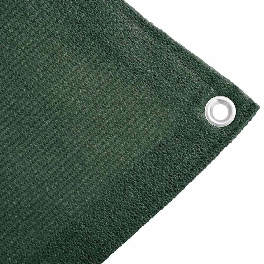 Tappeto da Tenda 250x400 cm HDPE Verde