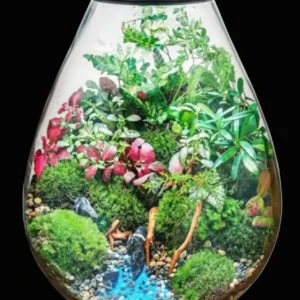 Chihiros Eco ping terrario