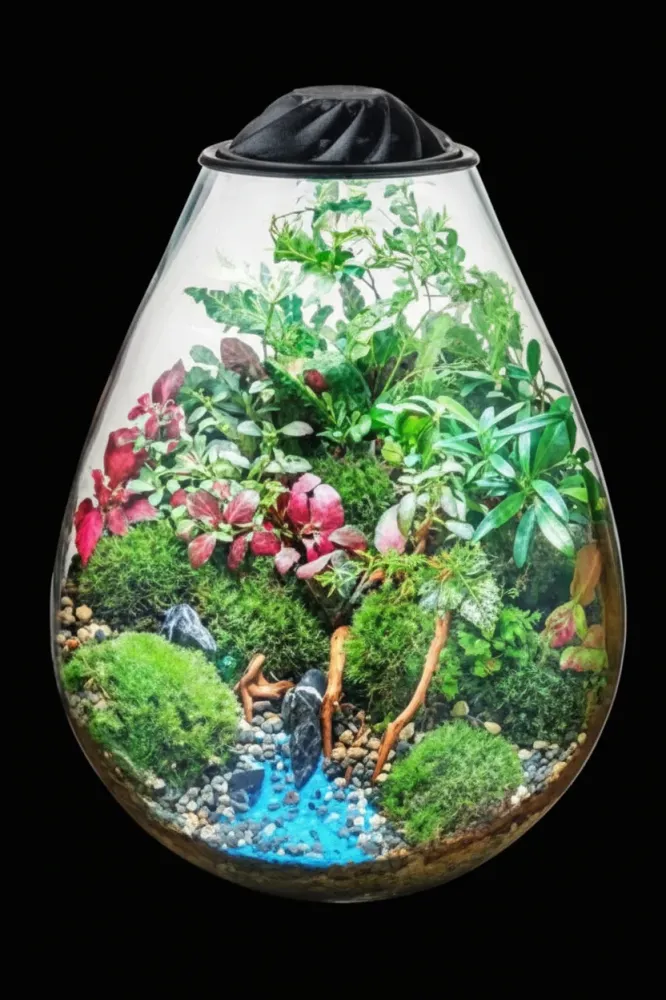 Chihiros Eco ping terrario