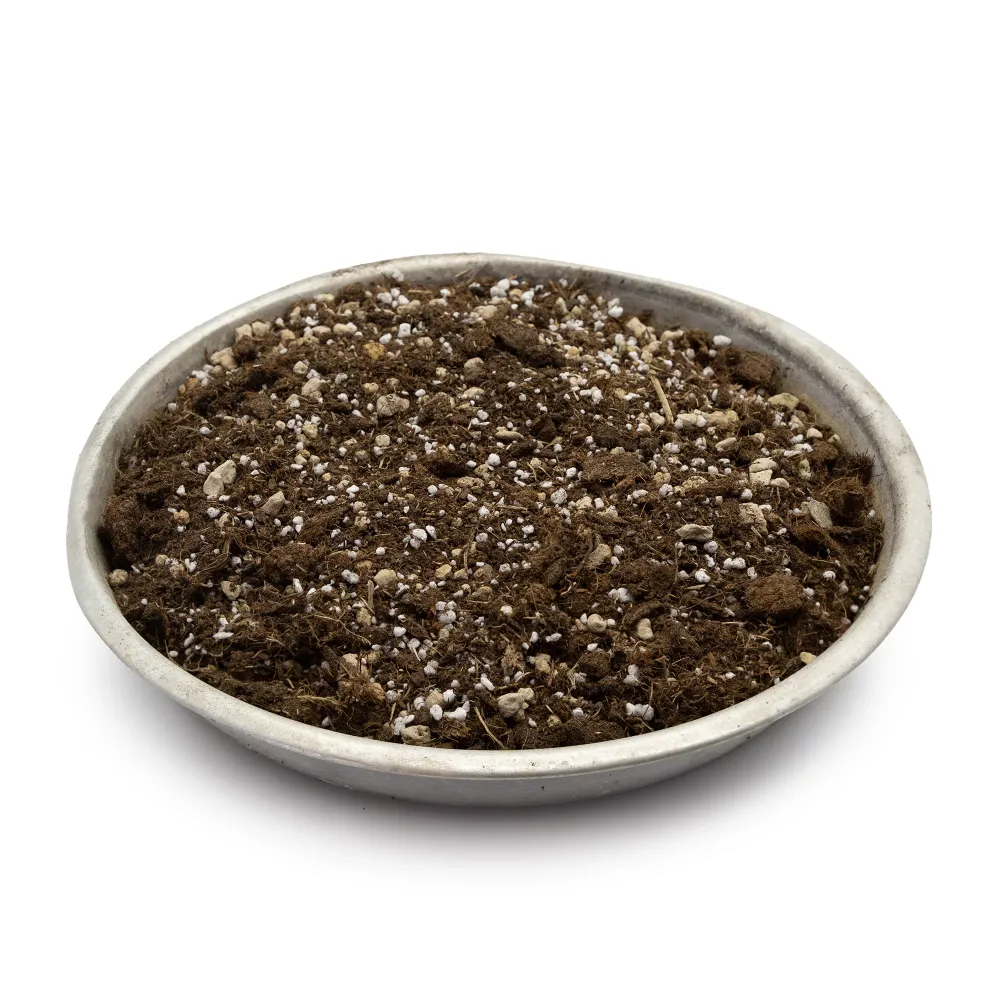 Terriccio per Caudiciformi TORBA, POMICE E PERLITE concimato (nostra miscelazione) (10 litri)