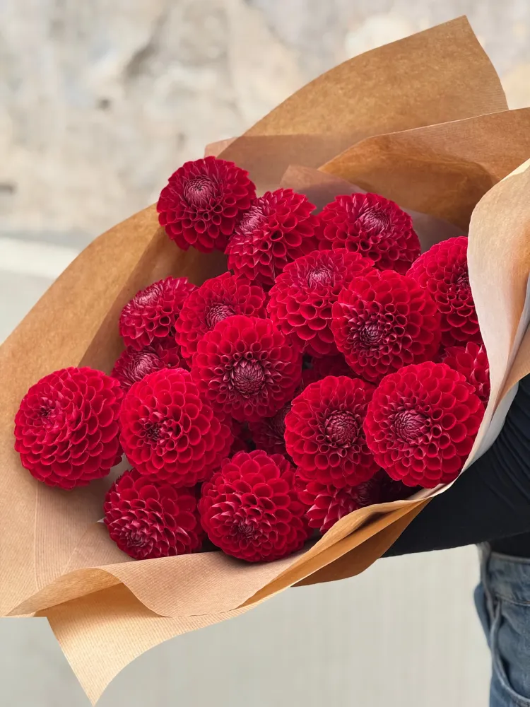Dahlia Cornel | Top Cut Flower Variety