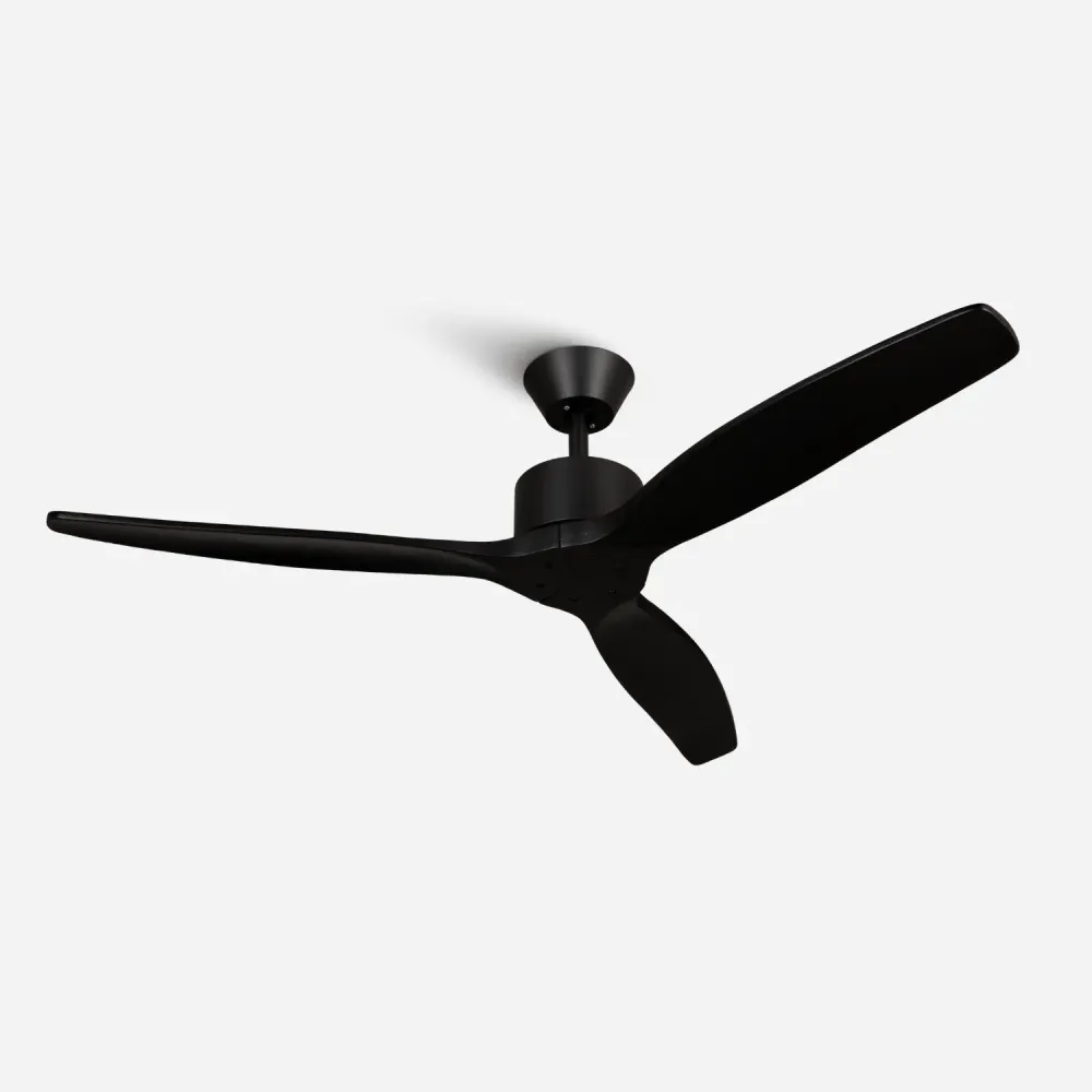 Brizy Black - FP