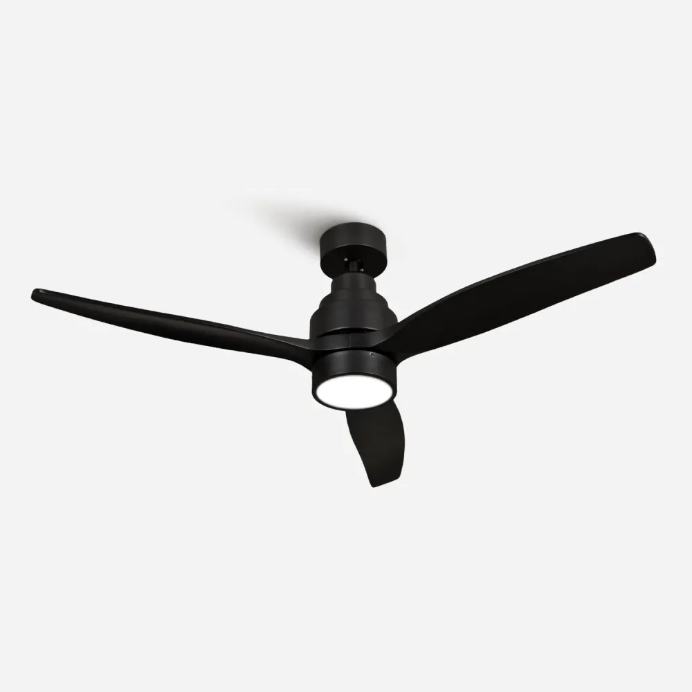 Brizy Bright Black - FP