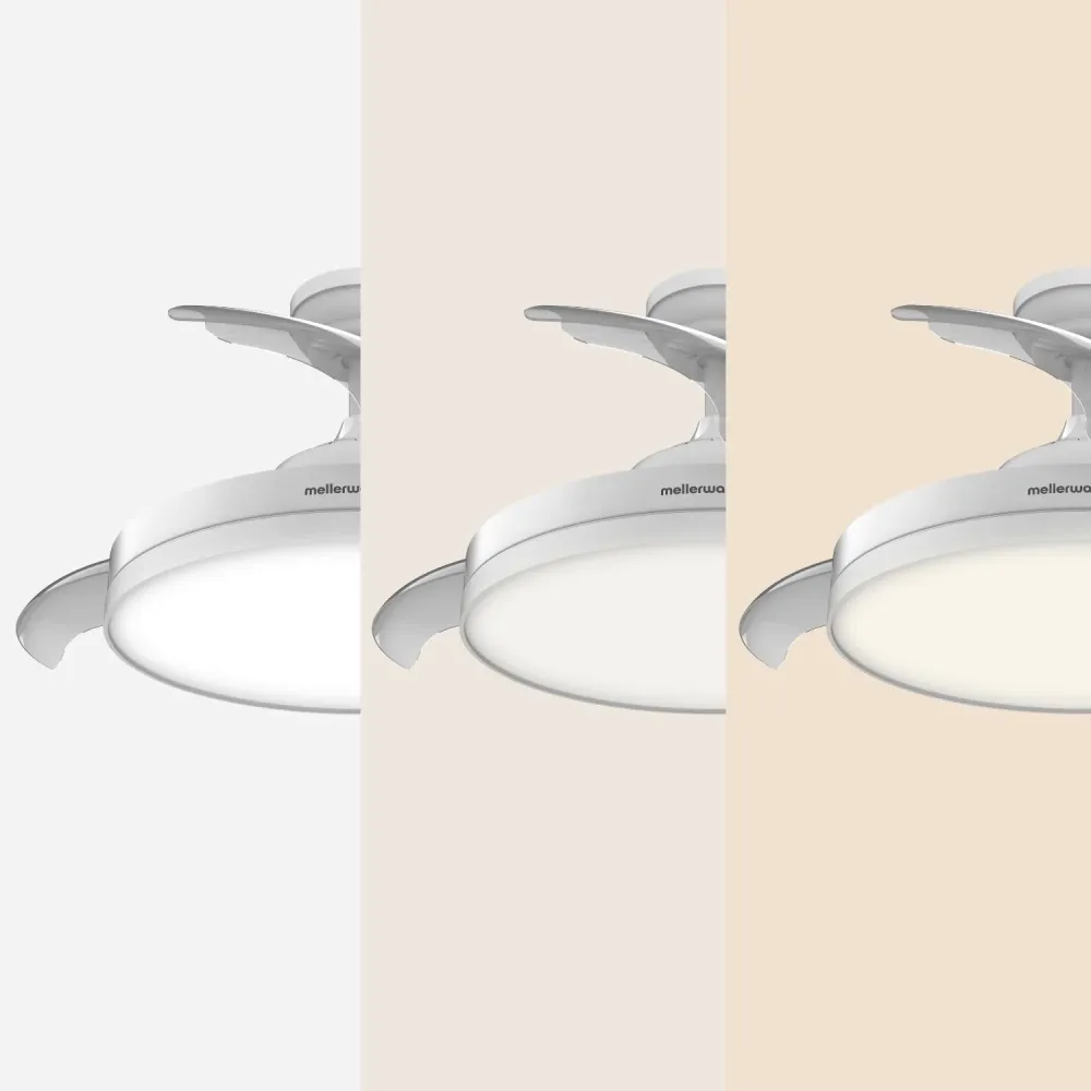 Brizy Bright Foldable - FP