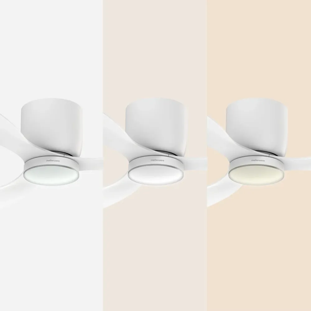 Brizy Bright Minimal - FP