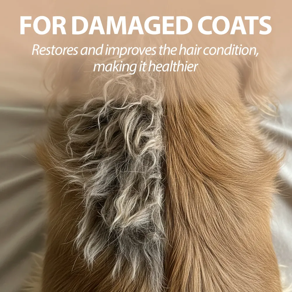 SHAMPOO PER CANI NATURÉ CON ARGILLA VERDE